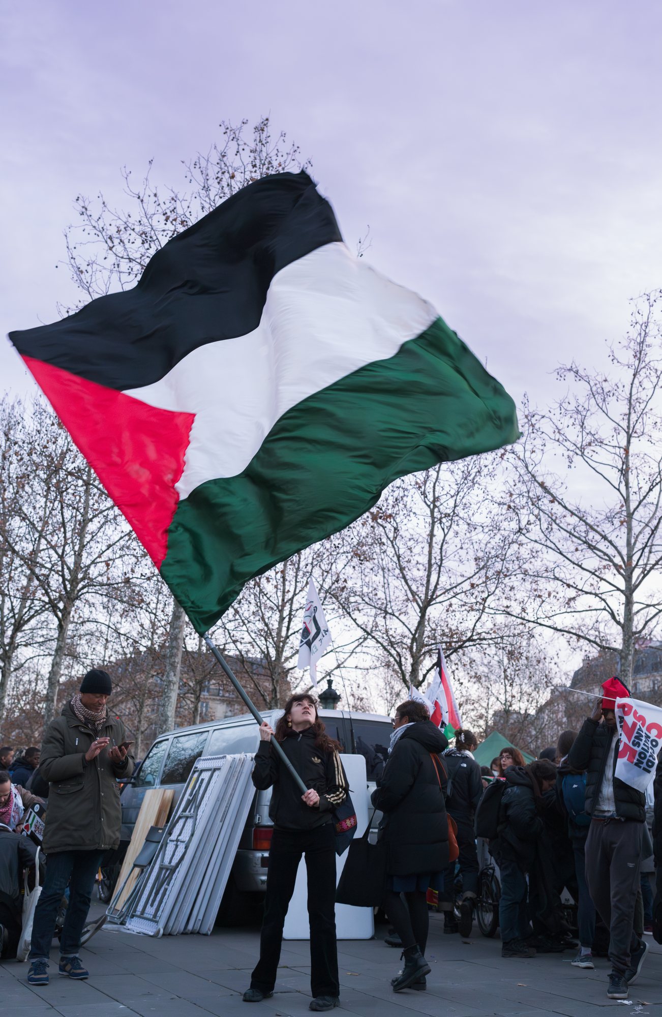 Un drapeau, des branches nues, rien d'autre dans le cadre.